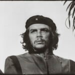 La importancia de la especie Neanderthal en el proceso de la humanidad.