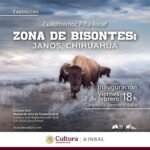 LA REVOLUCIÓN MEXICANA EN SCRATHBOARD.