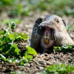 No te lo pierdas!!!!