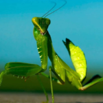 Accidente automovilistico