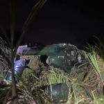 Merecido homenaje para la gran actriz Fanny Kauffman y su hijo Humberto Elizondo.