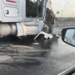 Celebra nuestro aniversario!!!