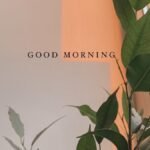 Rehabilitaciòn de pozos en Zinacatepec.