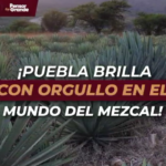 En la Plaza de San Pedro Roma Italia.