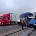 EL NUEVO PAPA, EL CARDENAL NORTEAMERICANO ROBERT FRANCIS