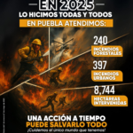 Incendios Forestales