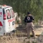 Muere Fidel Herrera Beltrán ex gobernador de Veracruz .