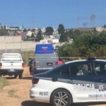 #QUEDA_SIN_FRENOS_TRAILER