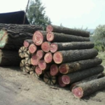 Después de 20 años de prisión sale Israel Vallarta