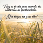 #MUJER_ES_ATACADA_POR_PERROS.