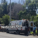 #MU3RE_JOVEN_TRAS_IMPACTARSE_CONTRA_UN_ÁRBOL.