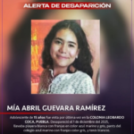 NIÑAS INTOXICADAS DESATAN INVESTIGACIÓN POR POSIBLE NEGLIGENCIA FAMILIAR