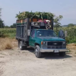 ¡AYÚDANOS A QUE TAKAMURA VUELVA A CASA!