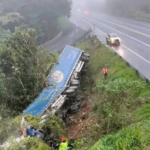 *MAGALLANES ES EL CAMPEÓN*