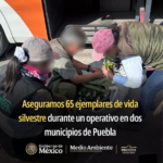 DENUNCIA CIUDADANA.