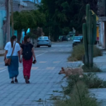 Entérate Nayarit