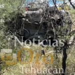 DENUNCIA CIUDADANA