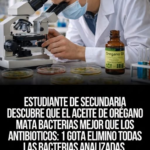 ¡Prevenir el dengue es tarea de todas y todos!