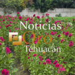 Segundo informe de gobierno del Lic. Omar Toledo Balderas.
